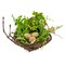 National Tree Company Artificial Bird's Nest Table Decoration, Woven Branch Base, Decorated with Berry Clusters, Leafy Greens, Pastel Eggs, Spring Collection, 6 Inches